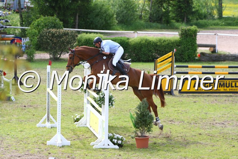 204M6548_Leonidas_Spring Mx.JPG